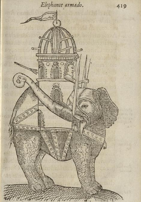 Photo no. 2 (3)
                                                         Słoń w rynsztunku bojowym
                            